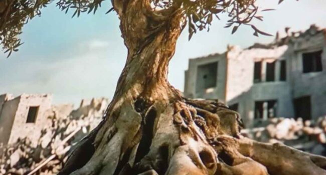 Chile recibe el documental La Raíz del Olivo sobre Palestina