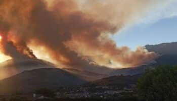 Ecologistas en Acción exige cambios reales en la gestión del paisaje para evitar más grandes incendios como el ocurrido en Ávila estos días