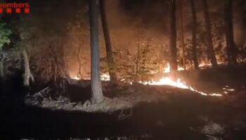 Los Bombers dan por controlado el incendio entre Amer y Susqueda (Girona)