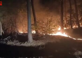 Los Bombers dan por controlado el incendio entre Amer y Susqueda (Girona)