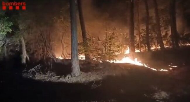 Los Bombers dan por controlado el incendio entre Amer y Susqueda (Girona)