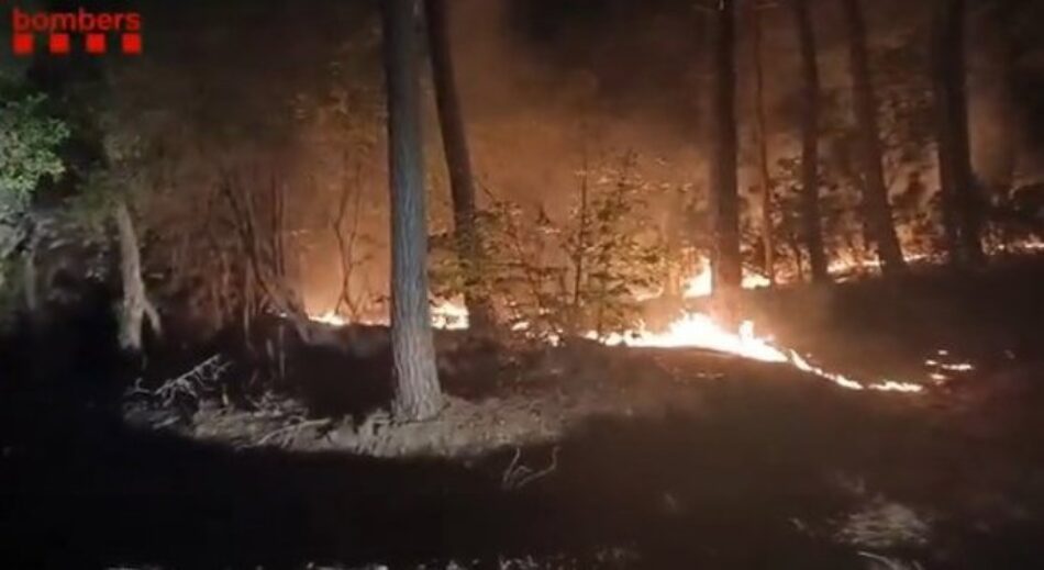 Los Bombers dan por controlado el incendio entre Amer y Susqueda (Girona)