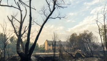 Miles de edificaciones en Madrid incumplen la obligación de contar con planes de autoprotección ante incendios forestales