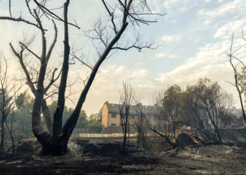 Miles de edificaciones en Madrid incumplen la obligación de contar con planes de autoprotección ante incendios forestales