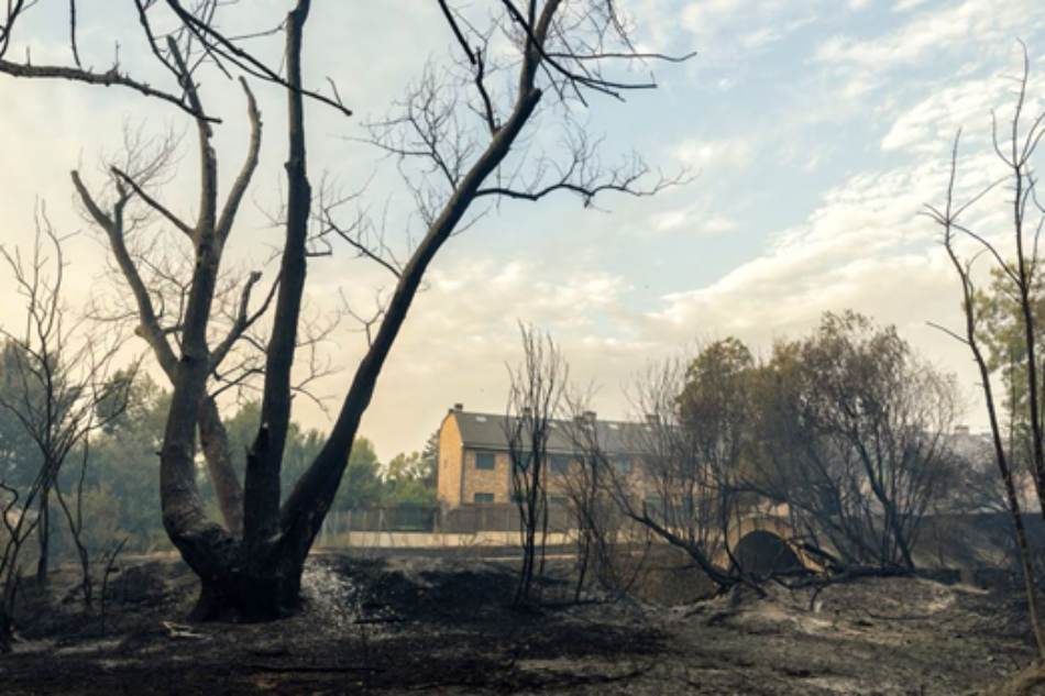 Miles de edificaciones en Madrid incumplen la obligación de contar con planes de autoprotección ante incendios forestales