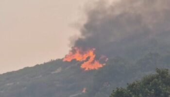 Juan Gascón (IU) asistirá a la concentración en contra de la gestión de los incendios en Cervera de Pisuerga