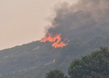 Juan Gascón (IU) asistirá a la concentración en contra de la gestión de los incendios en Cervera de Pisuerga