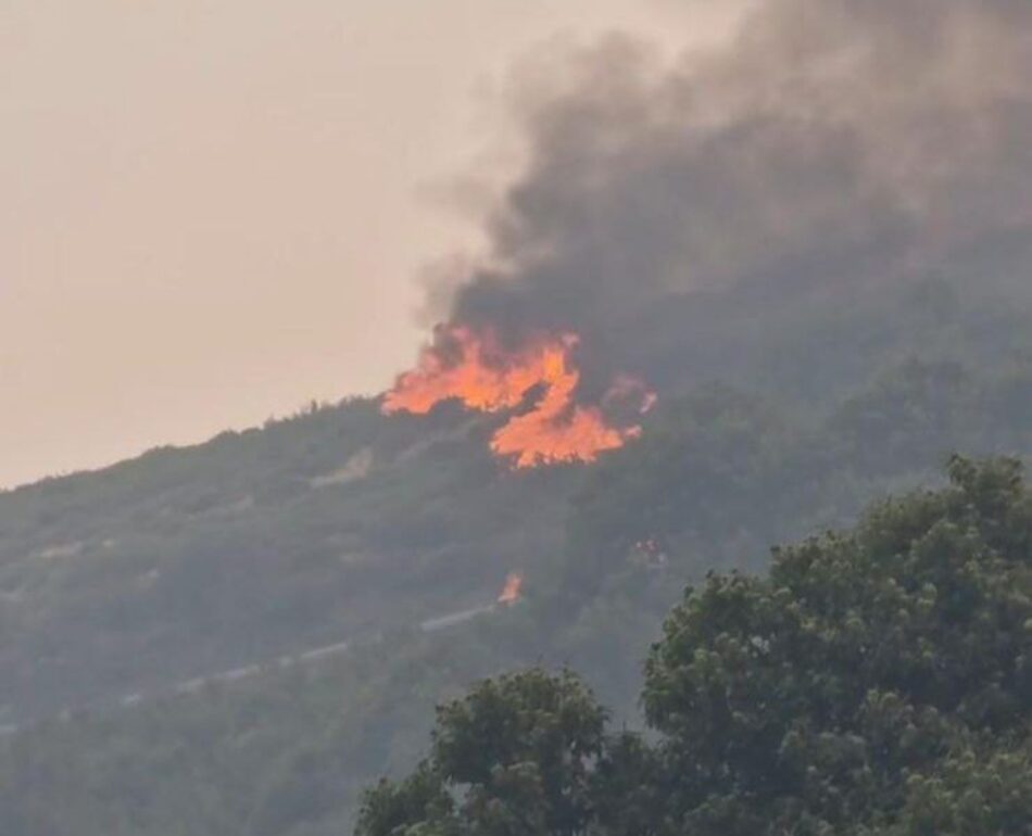 Juan Gascón (IU) asistirá a la concentración en contra de la gestión de los incendios en Cervera de Pisuerga