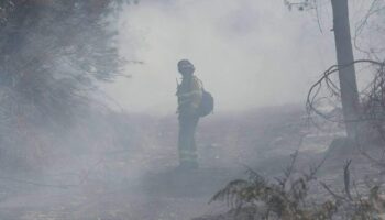 Ecologistas en Acción reclama medidas amplias, efectivas y duraderas para hacer frente a los incendios forestales
