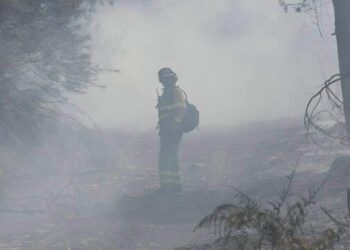 Ecologistas en Acción reclama medidas amplias, efectivas y duraderas para hacer frente a los incendios forestales