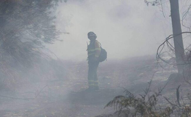 Ecologistas en Acción reclama medidas amplias, efectivas y duraderas para hacer frente a los incendios forestales