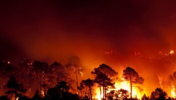Un experto de la US atribuye la causa de los incendios intensos y de múltiples focos al cambio climático