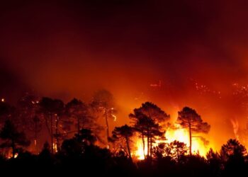 Un experto de la US atribuye la causa de los incendios intensos y de múltiples focos al cambio climático