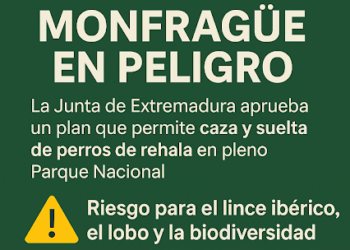 Ecologistas Extremadura presenta queja ante el defensor del pueblo contra el PRUG de Monfragüe por permitir la caza y la suelta de perros de rehala