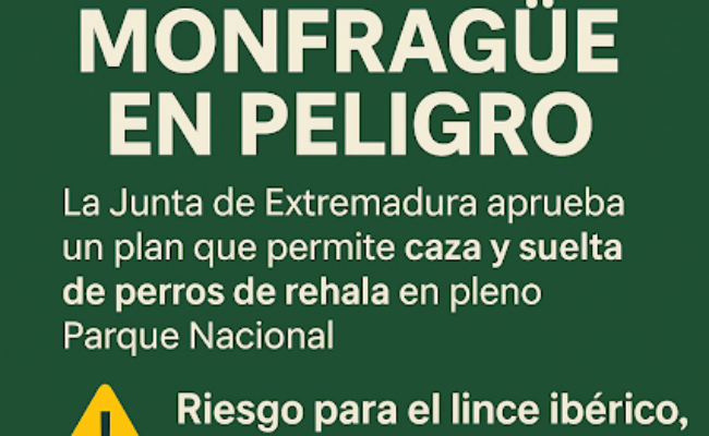 Ecologistas Extremadura presenta queja ante el defensor del pueblo contra el PRUG de Monfragüe por permitir la caza y la suelta de perros de rehala