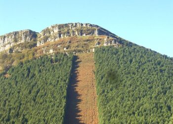 Pastores, cortafuegos y otras cosas de bombero