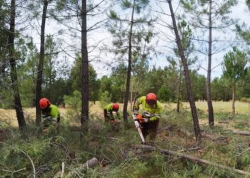 CCOO demanda un Pacto de Estado para visibilizar y gestionar las plazas disponibles de bomberos y agentes forestales