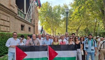 Izquierda Unida Sevilla denuncia que la Junta abre la puerta a los negocios del fondo KKR en la provincia mientras se perpetúa la ocupación y la violencia en Palestina