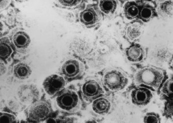 Descubren un antiviral contra el herpes que vence la resistencia a las curas actuales