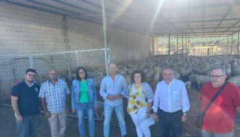 Enrique Santiago exige a la “temeraria” Junta de Andalucía “medidas urgentes” contra la lengua azul en la ganadería y el mildiu que atacan al viñedo y olivar cordobés