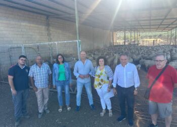 Enrique Santiago exige a la “temeraria” Junta de Andalucía “medidas urgentes” contra la lengua azul en la ganadería y el mildiu que atacan al viñedo y olivar cordobés