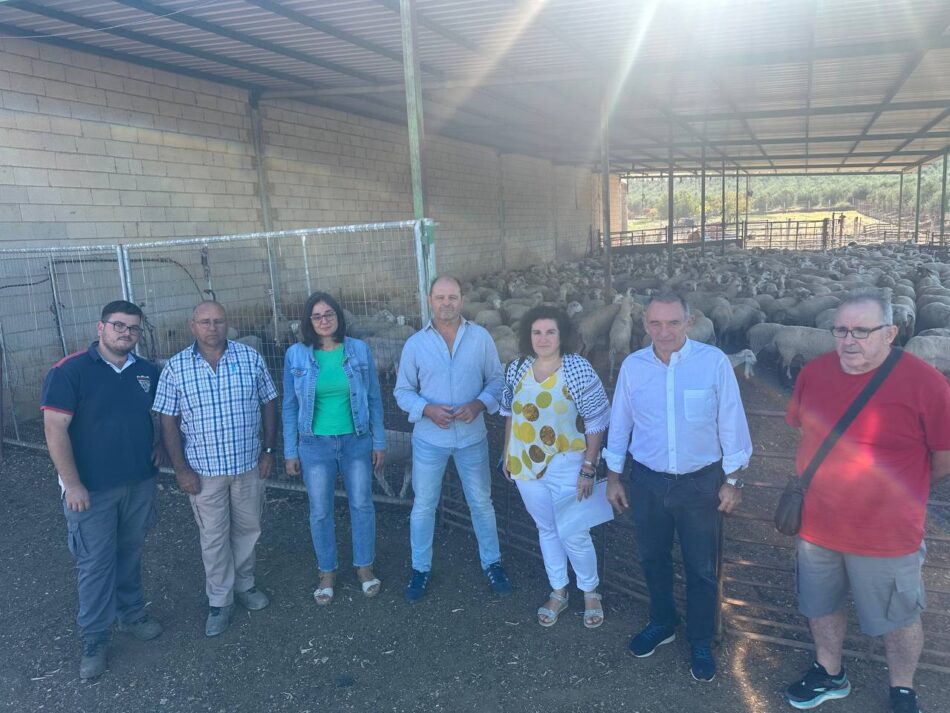 Enrique Santiago exige a la “temeraria” Junta de Andalucía “medidas urgentes” contra la lengua azul en la ganadería y el mildiu que atacan al viñedo y olivar cordobés