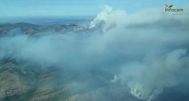 Ecologistas en Acción exige que se asuman responsabilidades por el «desastroso» incendio del Pico del Lobo