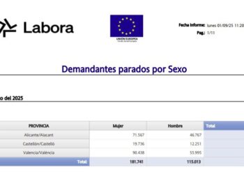 Àlvaro: “Les dones encapçalem amb un 61% el percentatge de persones desocupades i front a això el PP desmantella les polítiques amb perspectiva de gènere”
