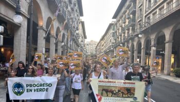 Más de 200 personas exigen al PP de Palma cumplir lo aprobado en Cort y poner fin al servicio de galeras tras los últimos «resbalones» de dos caballos