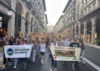 Más de 200 personas exigen al PP de Palma cumplir lo aprobado en Cort y poner fin al servicio de galeras tras los últimos «resbalones» de dos caballos