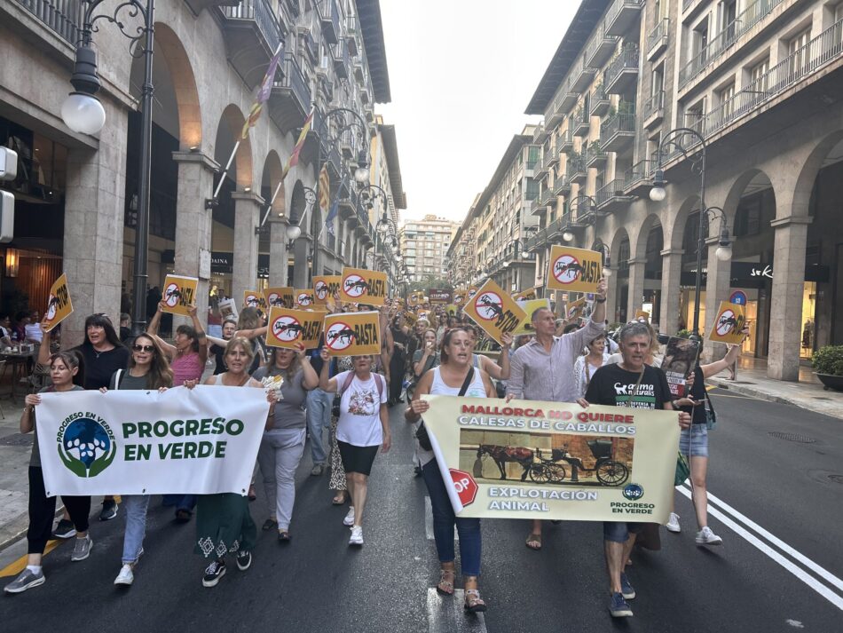 Más de 200 personas exigen al PP de Palma cumplir lo aprobado en Cort y poner fin al servicio de galeras tras los últimos «resbalones» de dos caballos