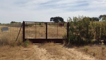 La Junta de Extremadura se niega a tramitar las denuncias en Vías Pecuarias