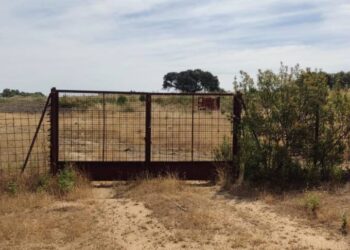 La Junta de Extremadura se niega a tramitar las denuncias en Vías Pecuarias