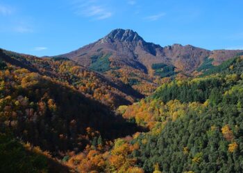 Critiquen per temerària l’afirmació de Salvador Illa de que “sobren boscos” i reclama que la prioritat sigui fer front a la crisi climàtica