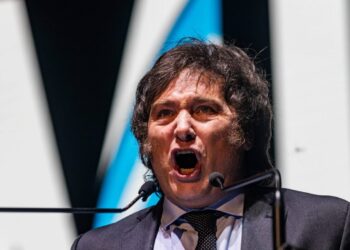La locura no es Milei, es el proyecto
