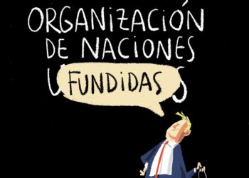 ORGANIZACIONES