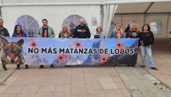 Grupo Lobo Asturias denuncia en Gijón el nuevo plan del Principado para matar lobos