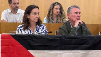 El pleno de Diputación aprueba izar la bandera palestina en la puerta principal de la Corporación