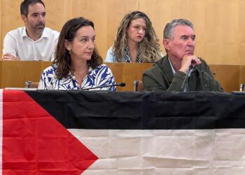 El pleno de Diputación aprueba izar la bandera palestina en la puerta principal de la Corporación