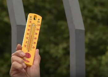 La Termometrada 2025 confirma el papel clave de árboles y pavimentos permeables frente al calor extremo