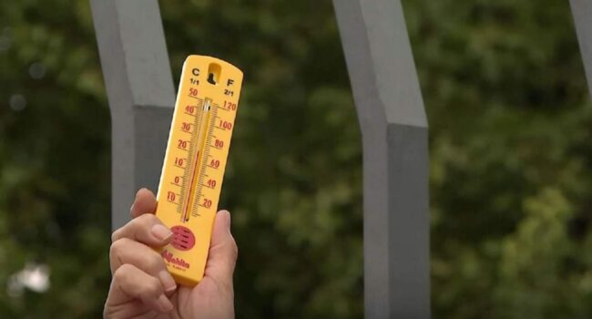 La Termometrada 2025 confirma el papel clave de árboles y pavimentos permeables frente al calor extremo