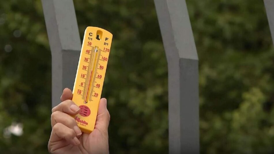 La Termometrada 2025 confirma el papel clave de árboles y pavimentos permeables frente al calor extremo