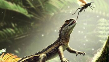 Un fósil hallado en Reino Unido revela cómo eran los ancestros de los lagartos