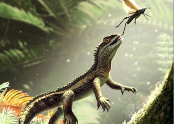 Un fósil hallado en Reino Unido revela cómo eran los ancestros de los lagartos