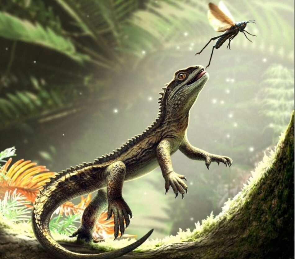 Un fósil hallado en Reino Unido revela cómo eran los ancestros de los lagartos