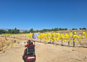 Montecarmelo denuncia que el PP lleva más de dos años mintiendo a vecinos y jueces sobre la realidad del proyecto de cantón