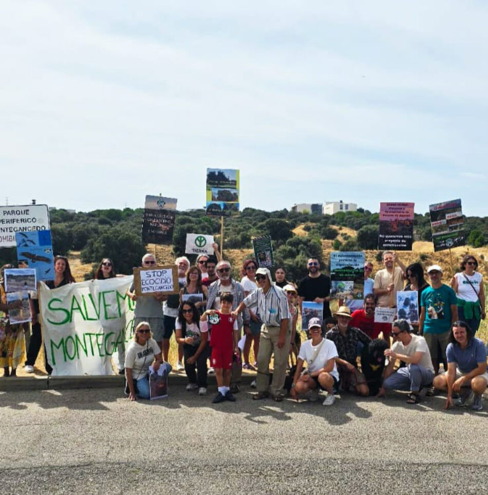 La Plataforma Ecologista Madrileña apoya a los vecinos de Pozuelo de Alarcón que han denunciado los incendios de los últimas semanas