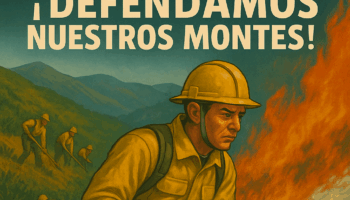 El Partido Comunista de España en El Bierzo denuncia la «lentitud» en la intervención en las zonas afectadas por los incendios