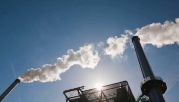 La sociedad civil pide una moratoria inmediata para la construcción de nuevas incineradoras de residuos en toda la UE
