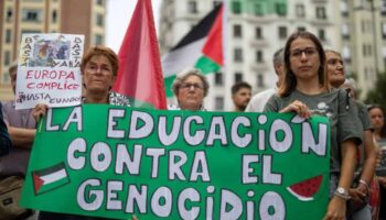 Marea Palestina solicita al embajador español ante las Naciones Unidas que apoye una fuerza multinacional de paz en Palestina